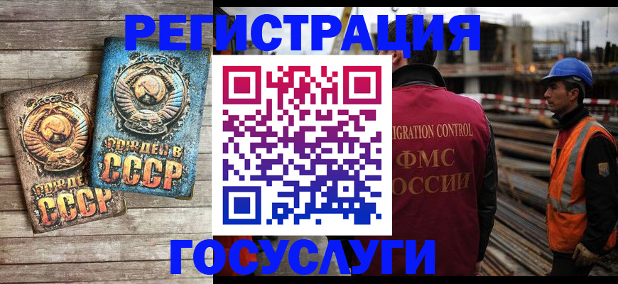 где прописаться в Нелидово